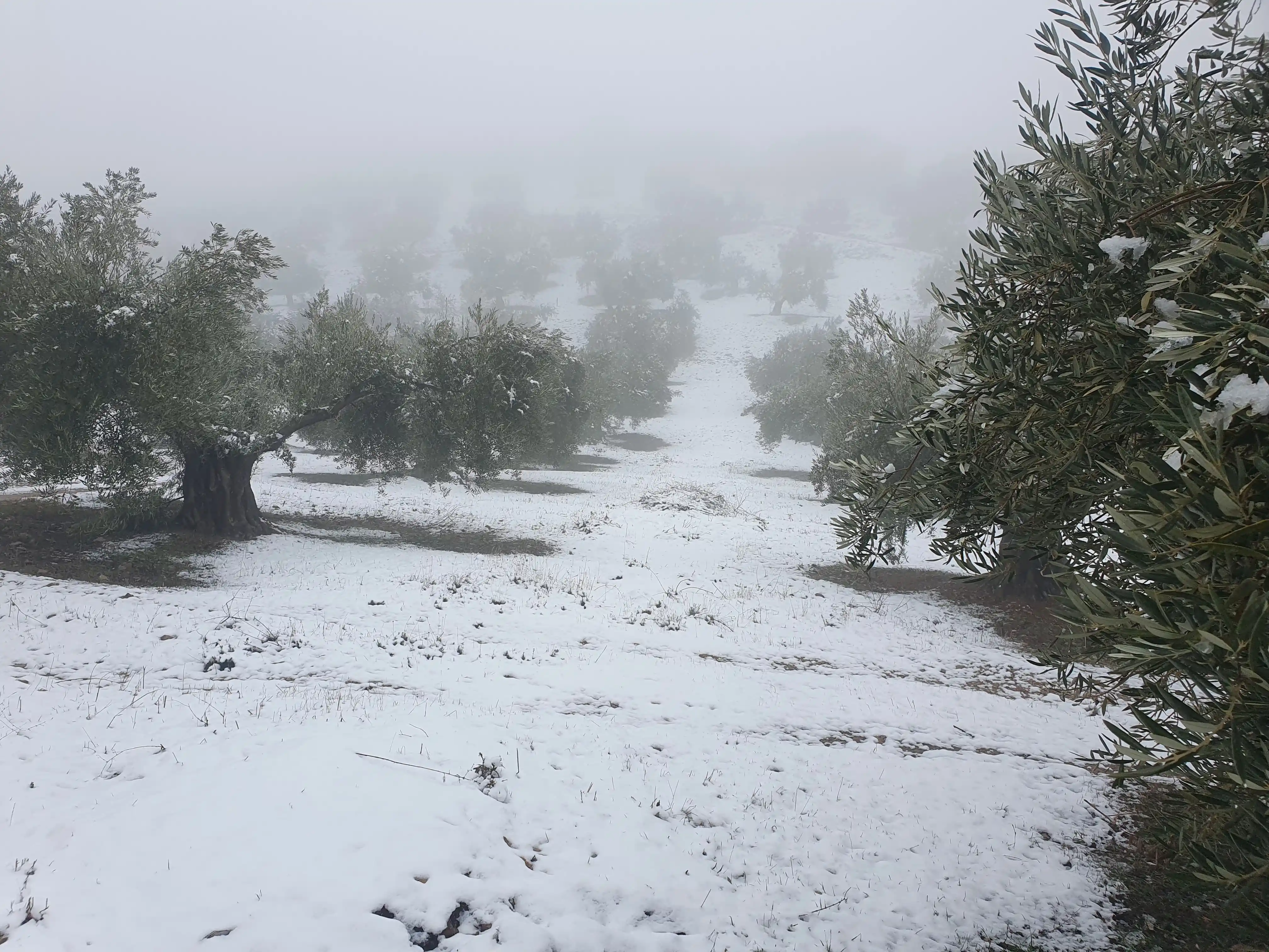 Le domaine PICORIA en hiver