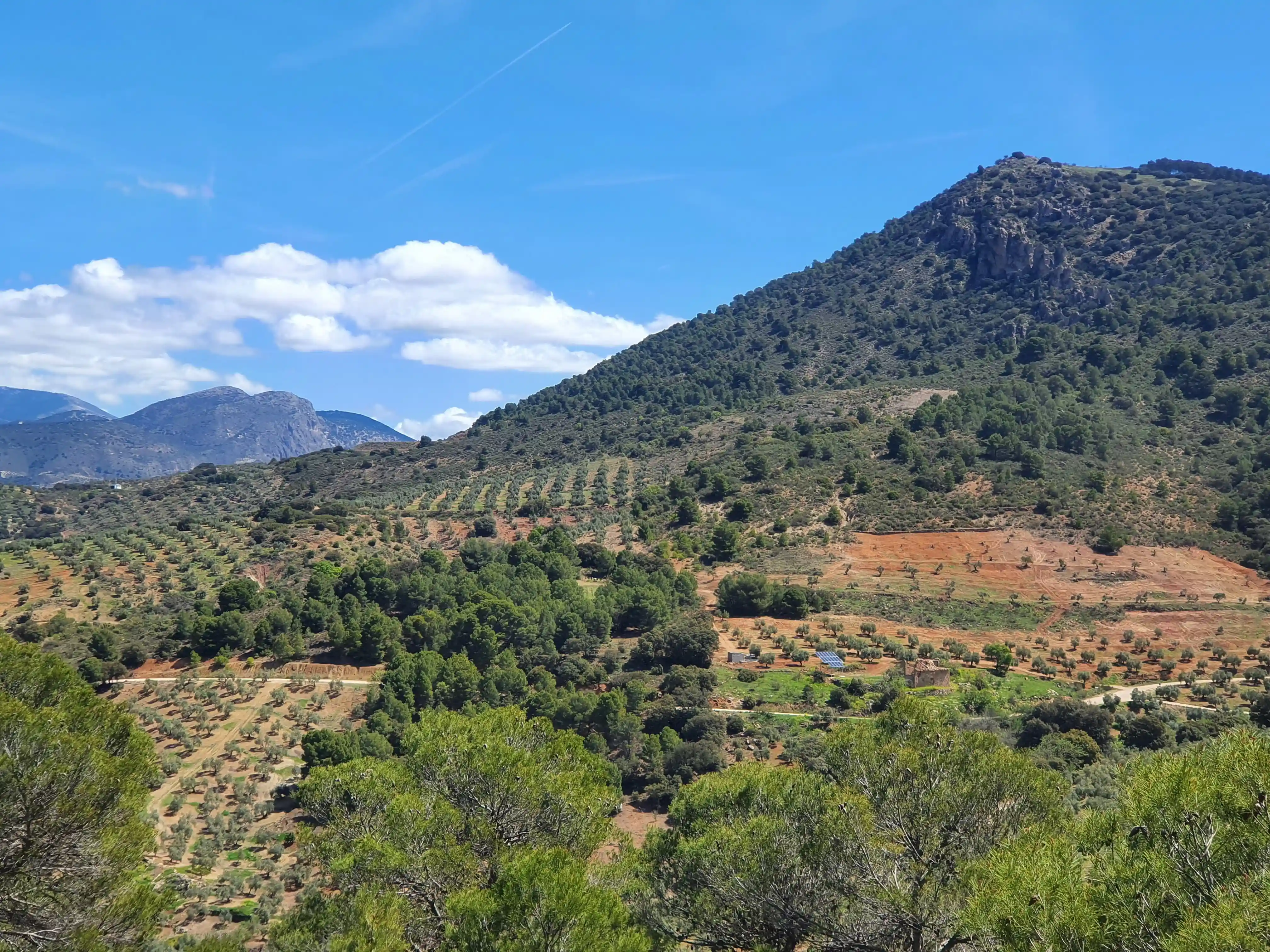 Le domaine PICORIA au printemps