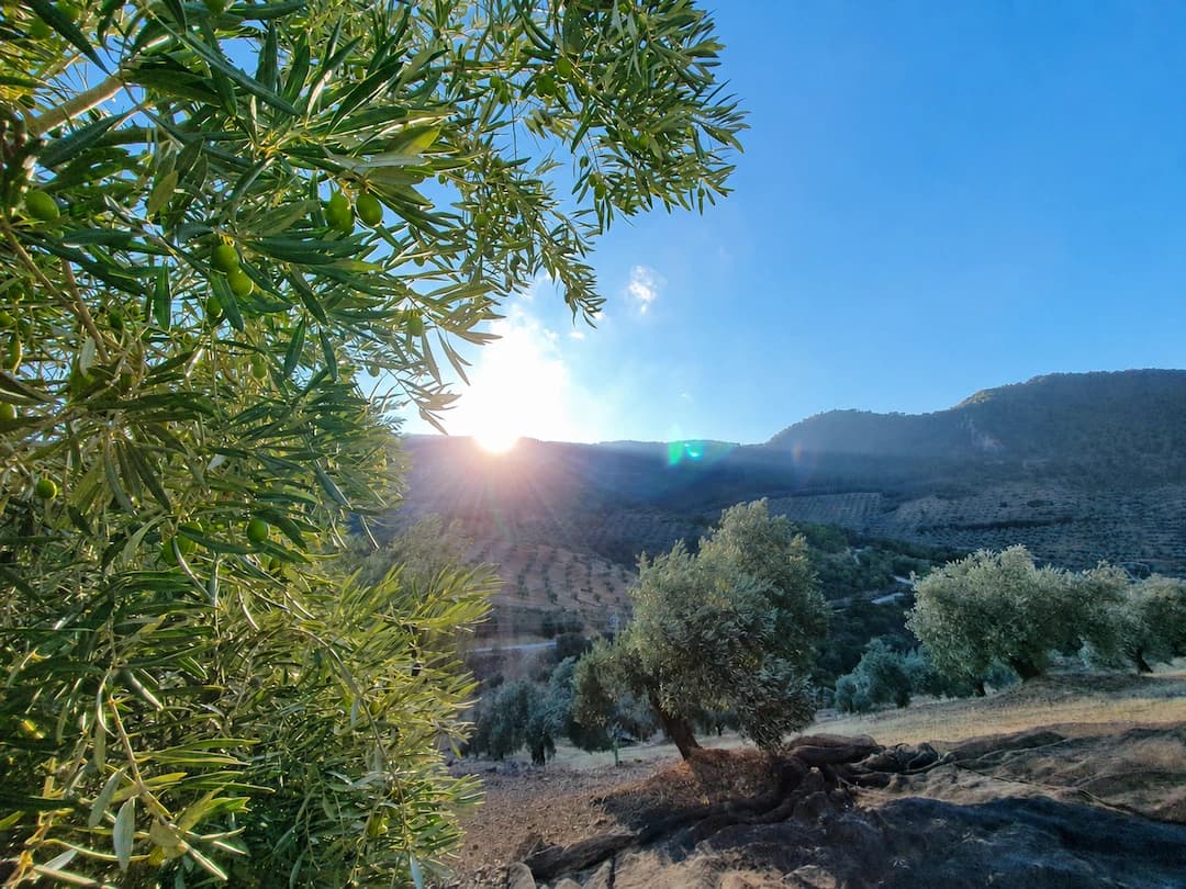 Sierra Mágina, Andalousie