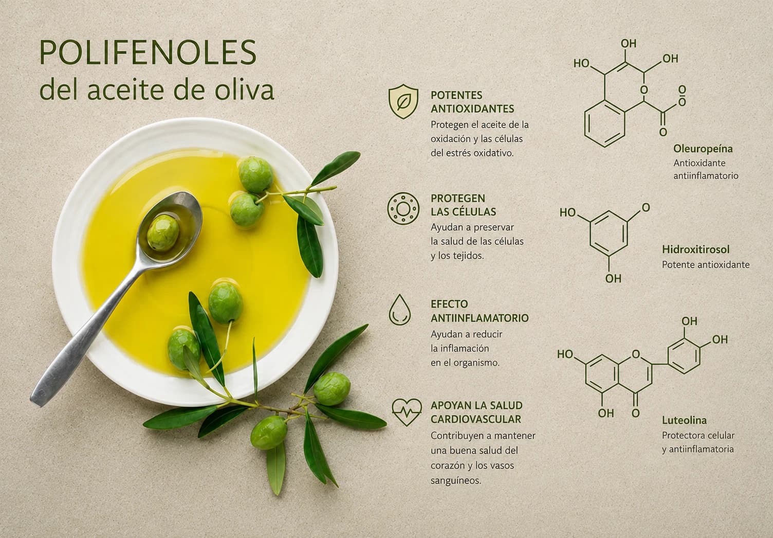 Escala de riqueza en polifenoles de los aceites de oliva