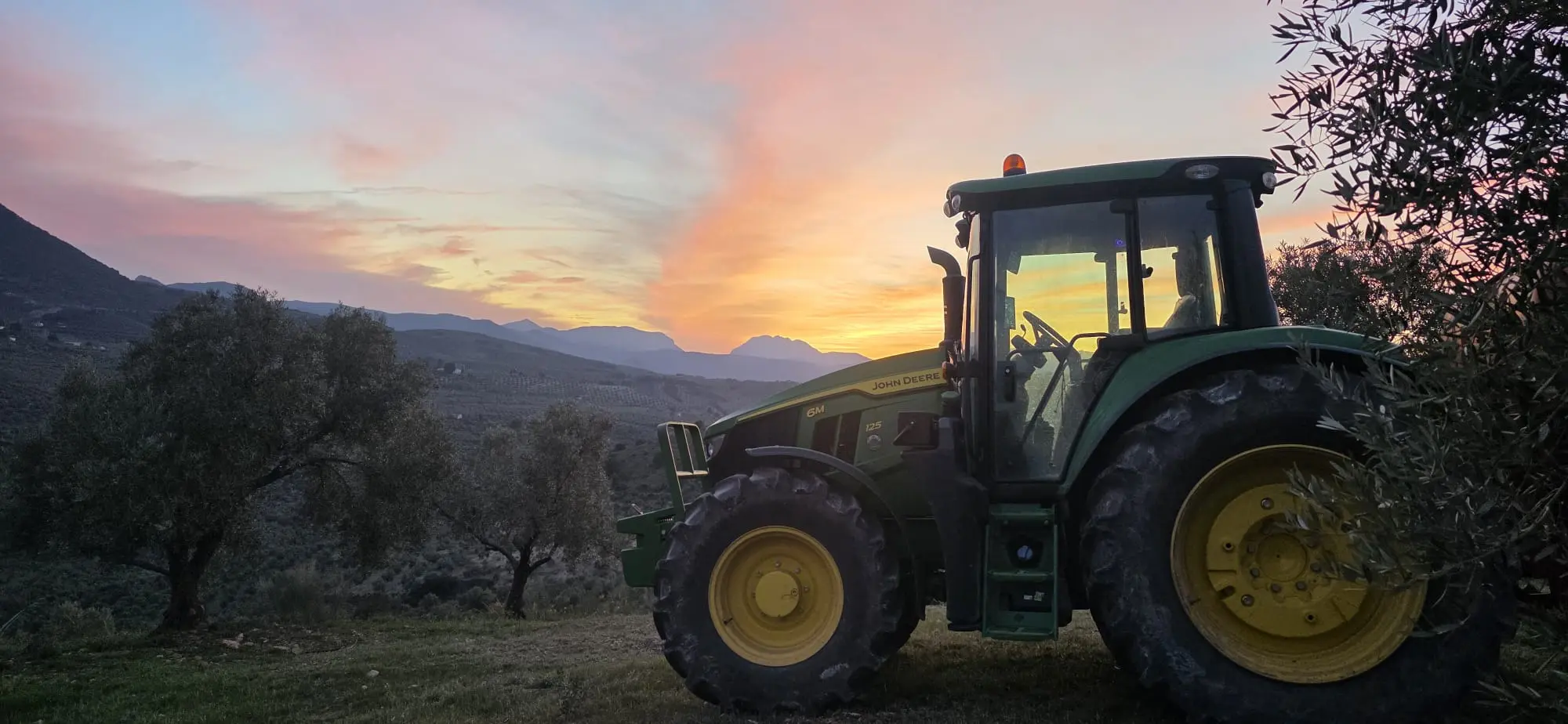 Tracteur dans l'oliveraie de la Sierra Mágina au soleil couchant