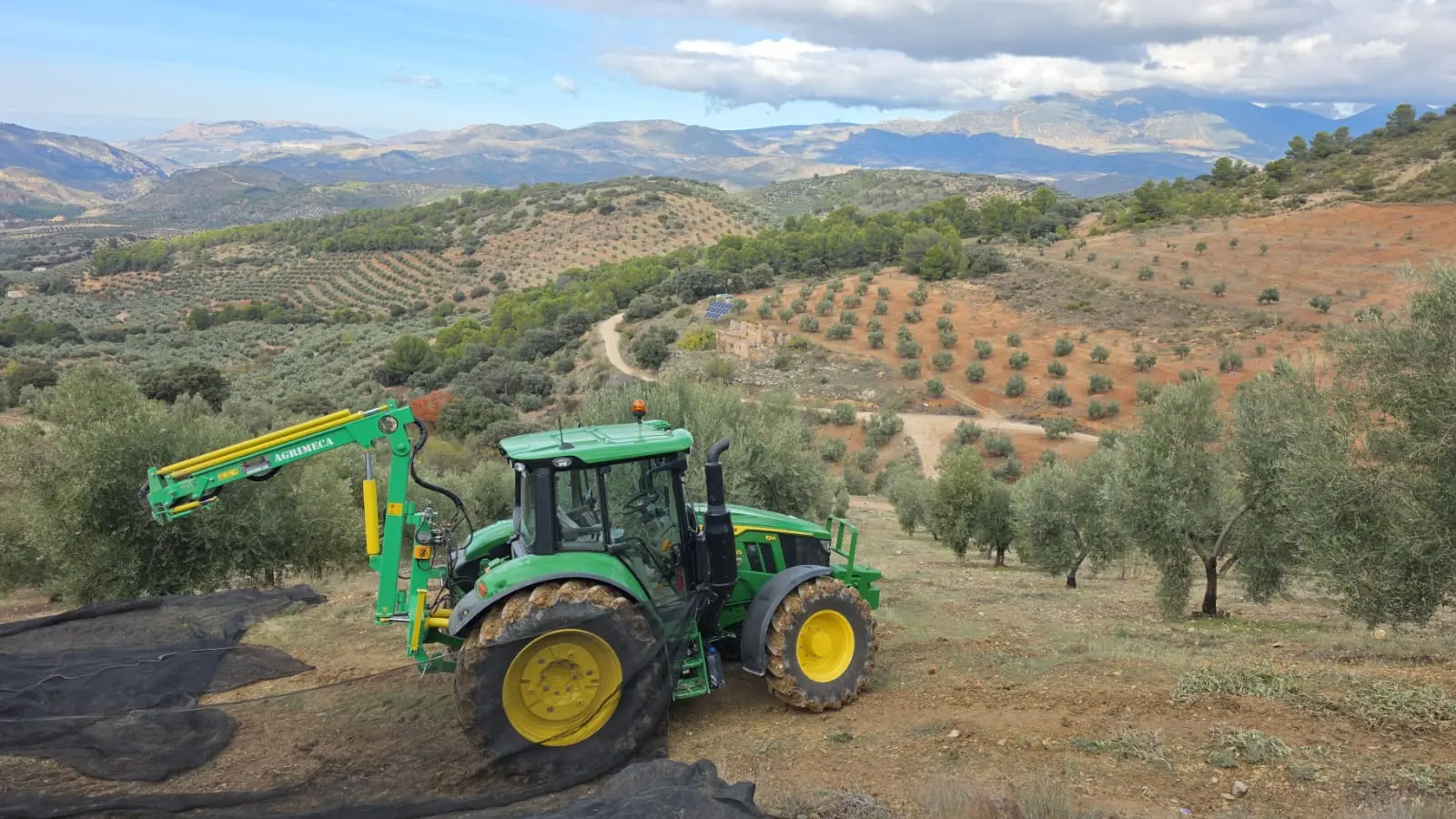 Tracteur et filets de récolte dans l'oliveraie du domaine